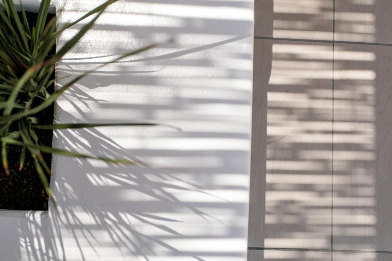 Kamvas Deluxe Apartments Naxos City エクステリア 写真